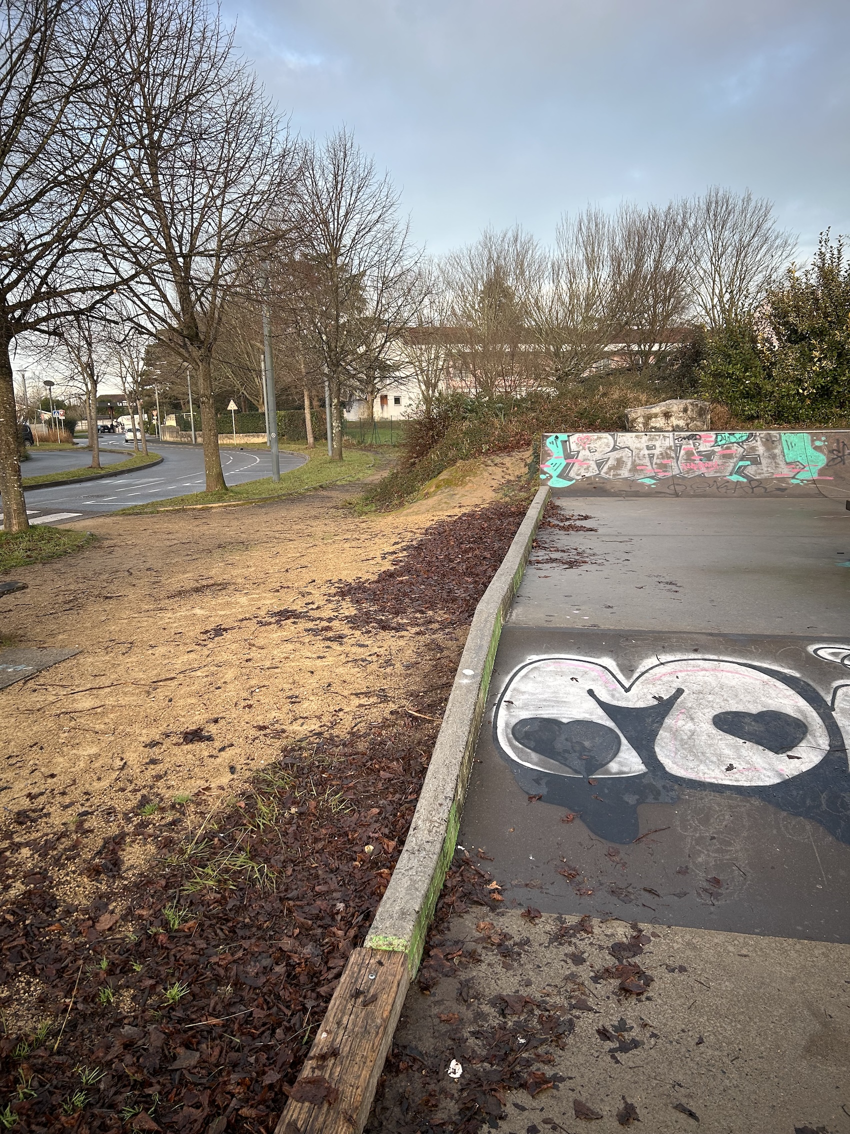 Saint-Martin-de-Seignanx skatepark